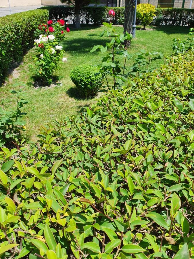 Sheki Avtovagzal Motel Εξωτερικό φωτογραφία